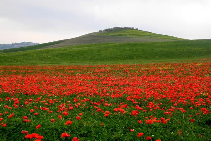 26 mai_52.JPG